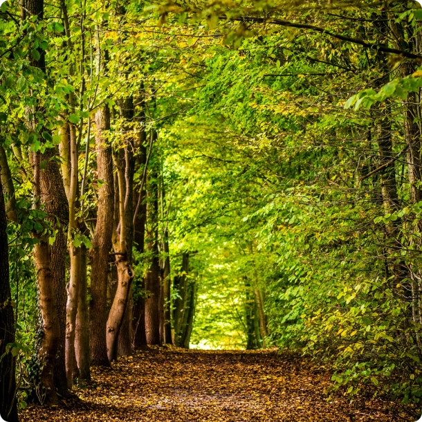 Bardziej realistyczne kolory